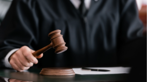 Litigation main stages