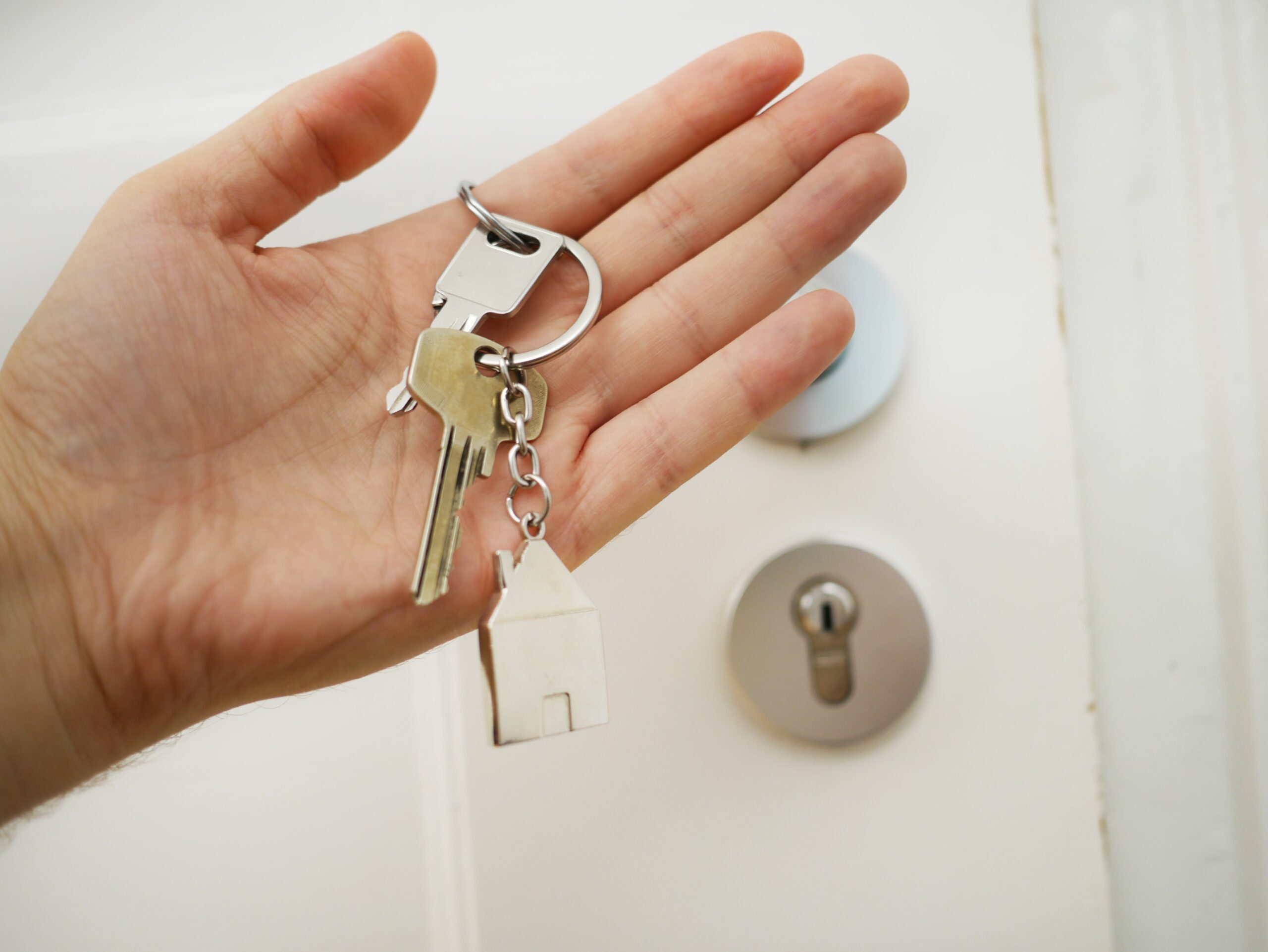 estate plan review