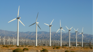 anatomy of a wind solar lease